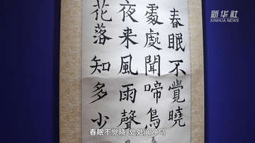 新华全媒+|2025上合组织国家文明对话在天津举行 意在促进理解深化互信