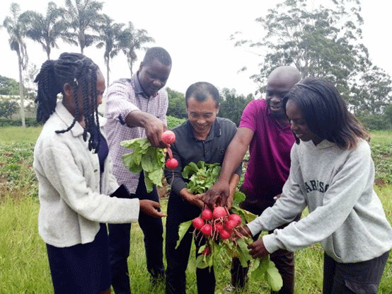 共筑金色梦想丨马拉维民众分享丰收的喜悦：“感谢中国专家传授给我们这项技术”