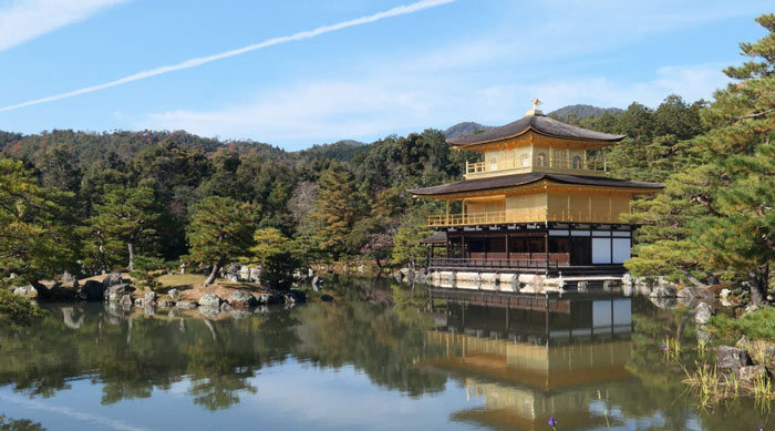 “一花一园一城”宣传片日本篇——落樱缤纷