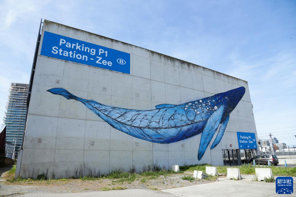 比利时奥斯坦德的城市“彩妆”