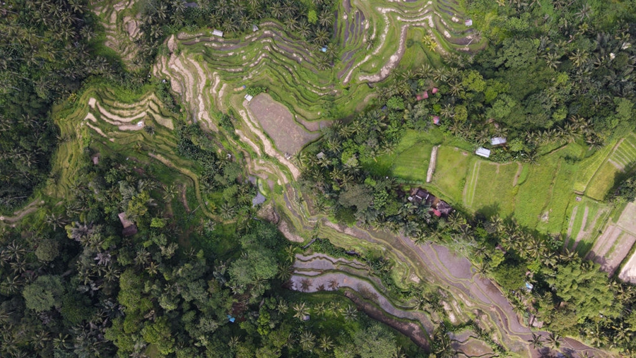 镜观世界｜遇见巴厘岛——走进2022年G20峰会举办地