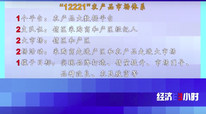 RCEP市场迎来“中国菠萝”！年产值飙升至25亿元，徐闻菠萝解锁“销售密码”