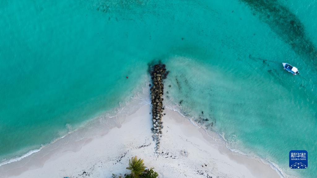 镜头中的巴巴多斯