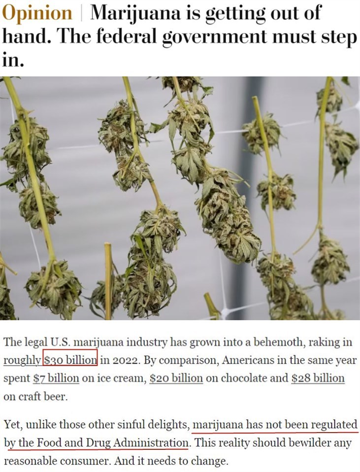 满满的绝望！美媒总结美国现状用了这些关键词