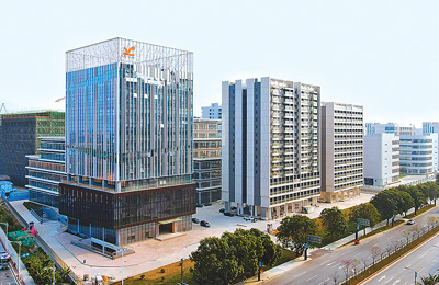 新的一年,紧抓中国开放发展新机遇(侨界关注)