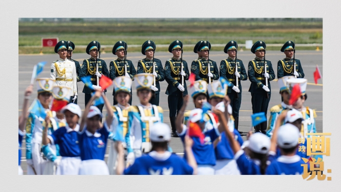 时政画说丨又到石榴花开时