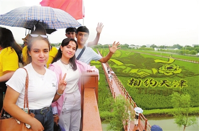 友城天津 近悦远来——从经贸往来到民心相通的合作之旅