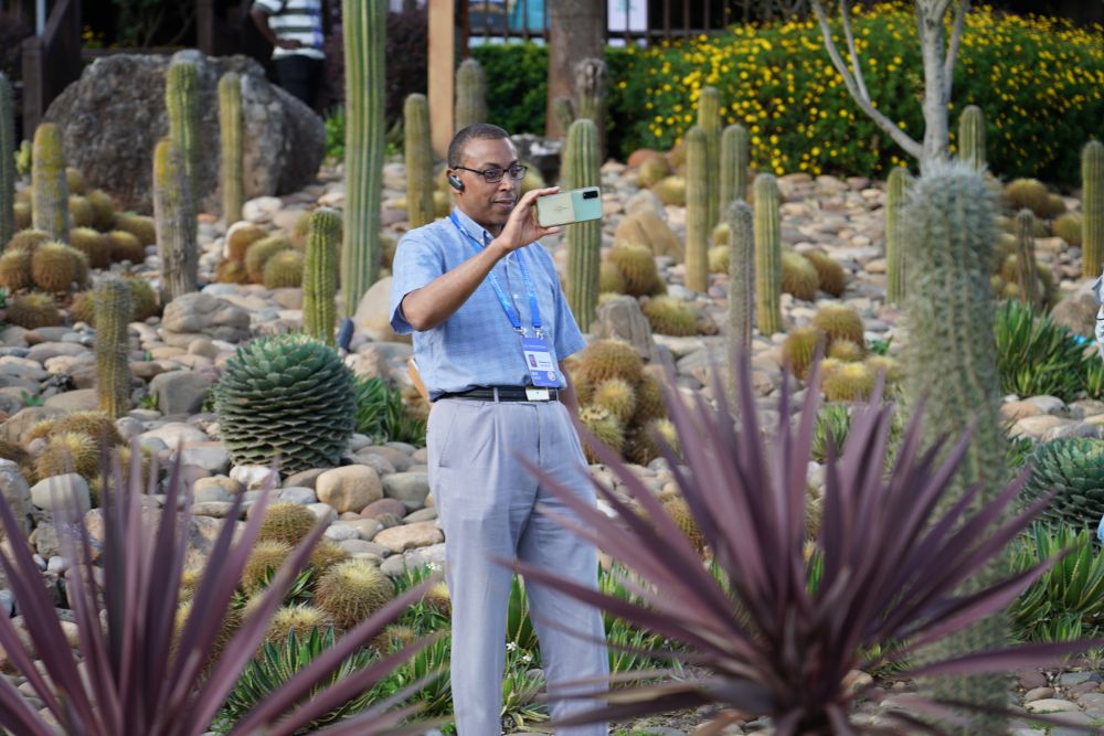 新华鲜报｜“南”望云南！媒体智库代表踏访彩云之南感知中国魅力