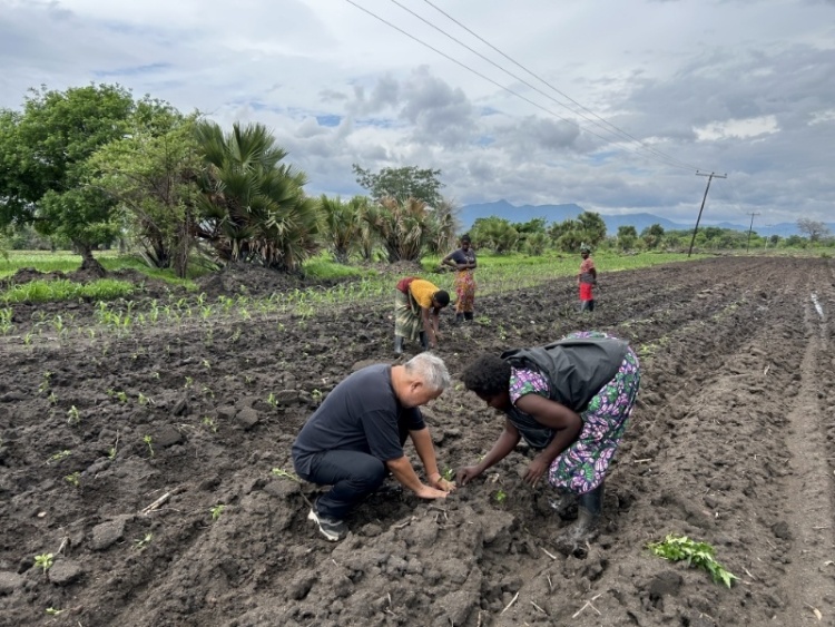 共筑金色梦想丨马拉维民众分享丰收的喜悦：“感谢中国专家传授给我们这项技术”
