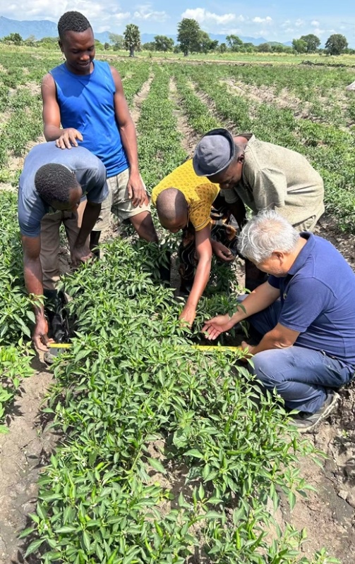 共筑金色梦想丨马拉维民众分享丰收的喜悦：“感谢中国专家传授给我们这项技术”