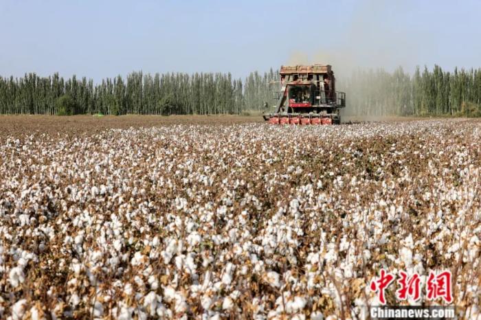 东西问·中国学｜阿根廷学者何广思：如何更好理解中国式现代化？