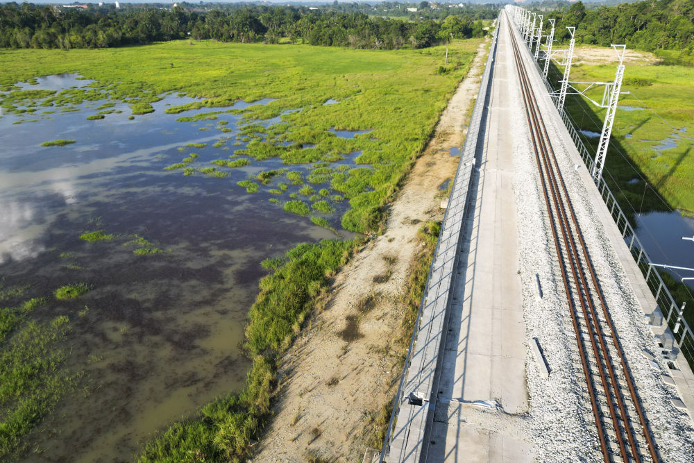 一带一路故事绘|马东铁:一条与自然共生的“绿色脊梁” 一带一路故事绘|马东铁:一条与自然共生的“绿色脊梁”