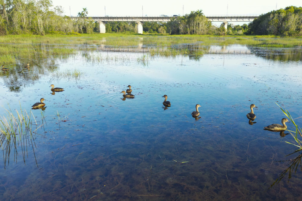 一带一路故事绘|马东铁:一条与自然共生的“绿色脊梁” 一带一路故事绘|马东铁:一条与自然共生的“绿色脊梁”