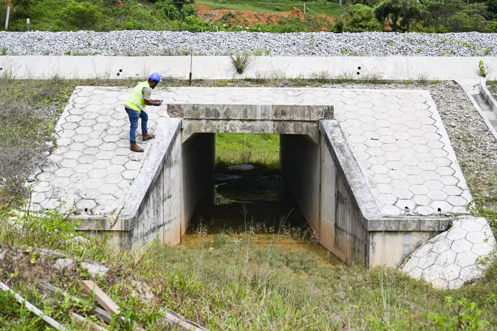 一带一路故事绘|马东铁:一条与自然共生的“绿色脊梁” 一带一路故事绘|马东铁:一条与自然共生的“绿色脊梁”