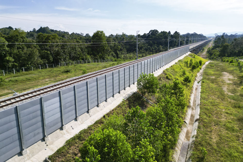 一带一路故事绘|马东铁:一条与自然共生的“绿色脊梁” 一带一路故事绘|马东铁:一条与自然共生的“绿色脊梁”