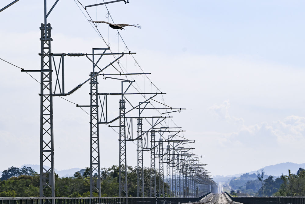 一带一路故事绘|马东铁:一条与自然共生的“绿色脊梁” 一带一路故事绘|马东铁:一条与自然共生的“绿色脊梁”