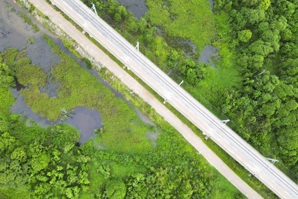 一带一路故事绘|马东铁:一条与自然共生的“绿色脊梁” 一带一路故事绘|马东铁:一条与自然共生的“绿色脊梁”