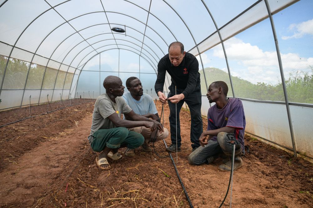 在津巴布韦，有一个中津农业合作示范村