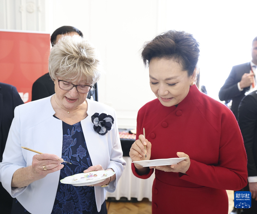 彭丽媛同匈牙利总统舒尤克夫人纳吉参观布达王宫并茶叙