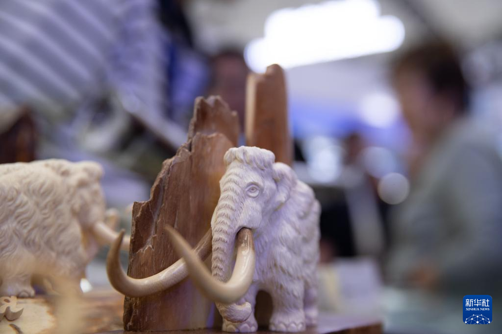 多国工艺品“扮靓”中俄博览会