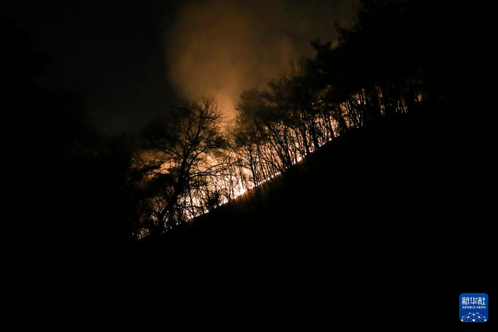 韩国山火已致28人死亡