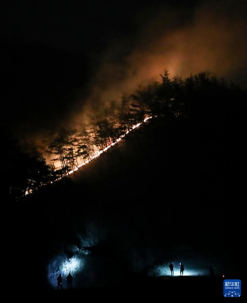 韩国山火已致28人死亡