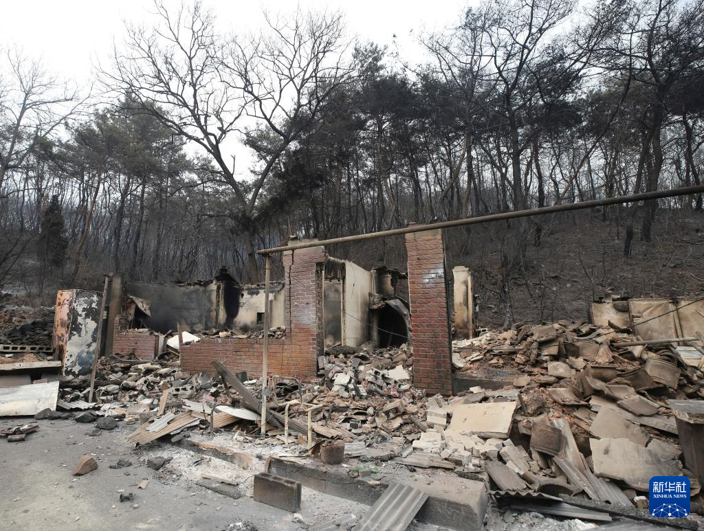 韩国山火已致28人死亡