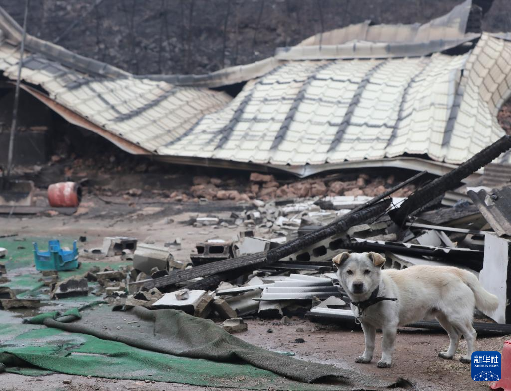 韩国山火已致28人死亡