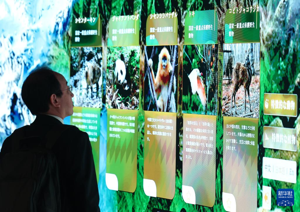 大阪世博会中国馆开馆