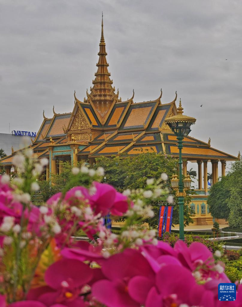 镜观世界丨走进柬埔寨金边