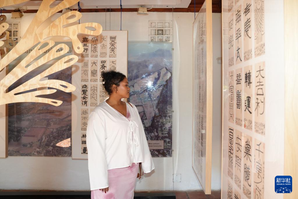 “国际中文日”庆祝活动在南非举行