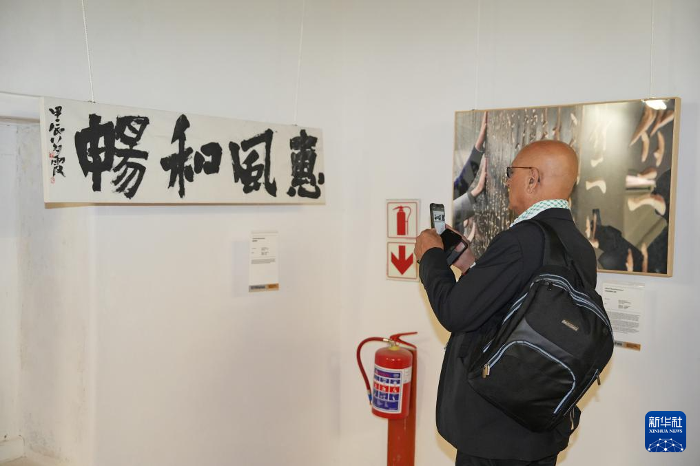 “国际中文日”庆祝活动在南非举行