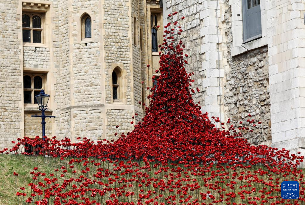 伦敦塔:装置艺术纪念二战停战80周年