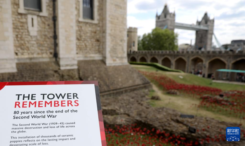 伦敦塔:装置艺术纪念二战停战80周年