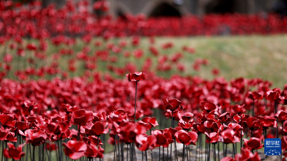 伦敦塔:装置艺术纪念二战停战80周年