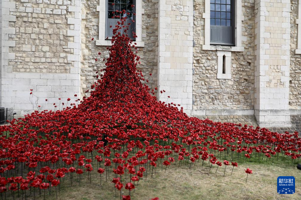 伦敦塔:装置艺术纪念二战停战80周年