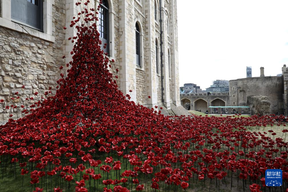 伦敦塔:装置艺术纪念二战停战80周年