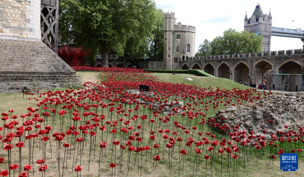 伦敦塔:装置艺术纪念二战停战80周年