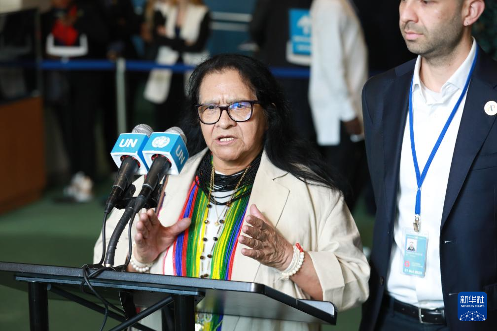 巴林等五国当选联合国安理会非常任理事国