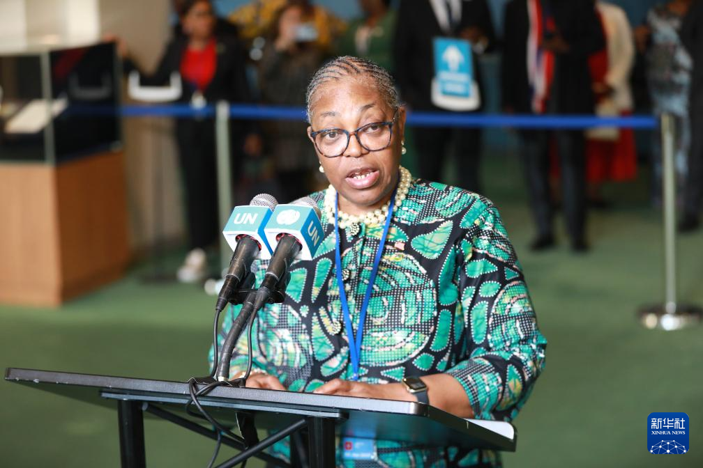 巴林等五国当选联合国安理会非常任理事国