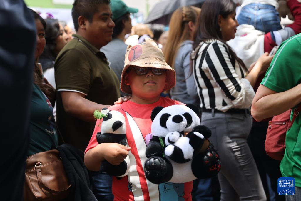 墨西哥举行大熊猫“欣欣”35岁生日庆祝活动