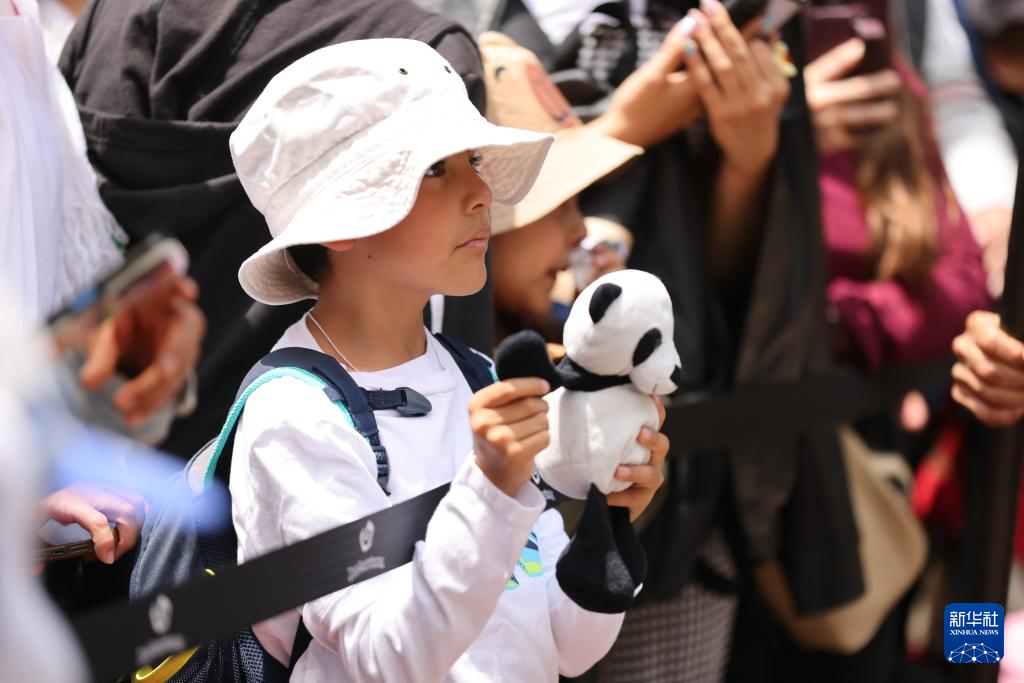 墨西哥举行大熊猫“欣欣”35岁生日庆祝活动