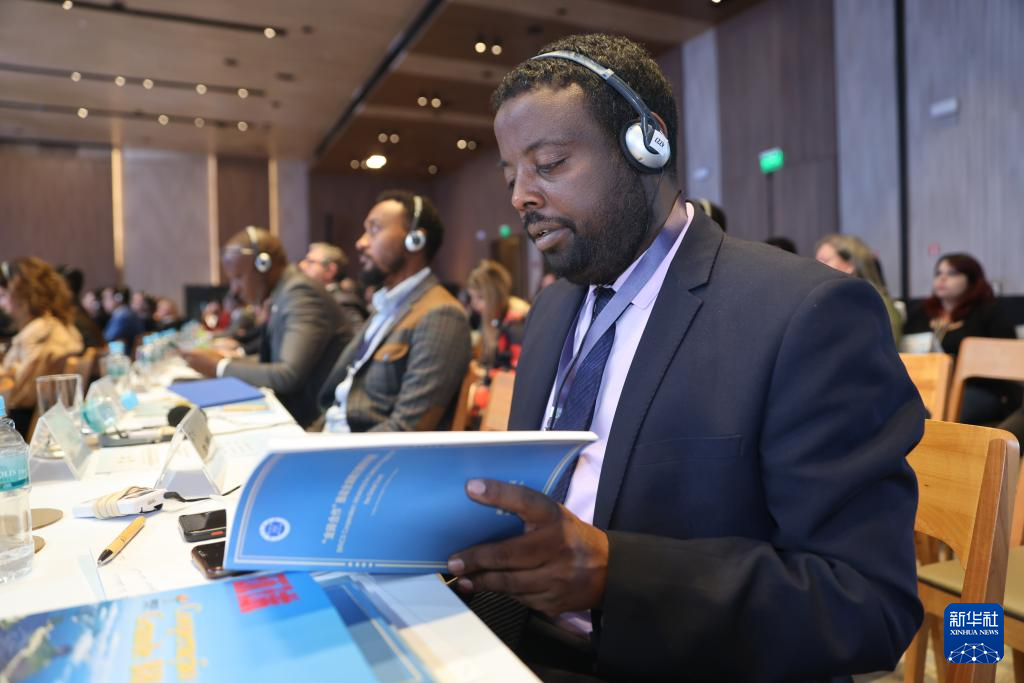 《“金砖合作”推动全球南方携手共进》智库报告在巴西发布