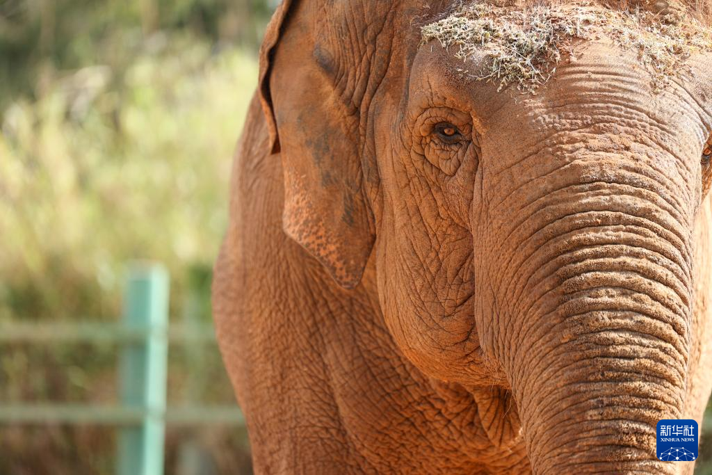 走进摩洛哥拉巴特动物园