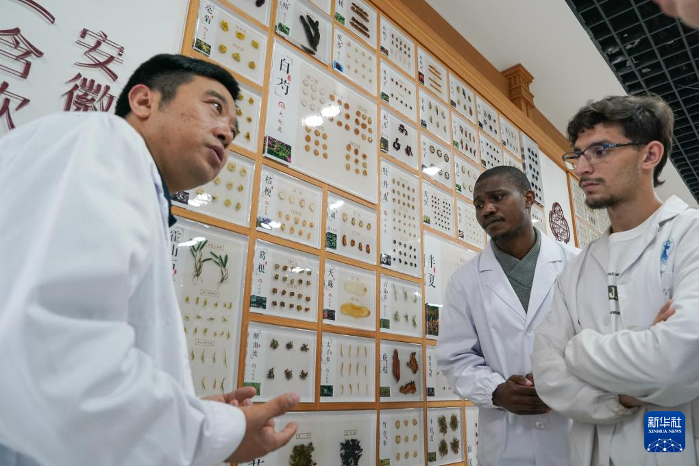 “洋中医”中国求学记