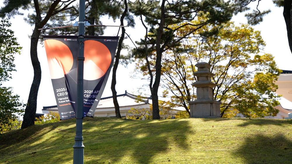 记者观察｜在APEC会议举办地触摸亚太合作发展新脉动