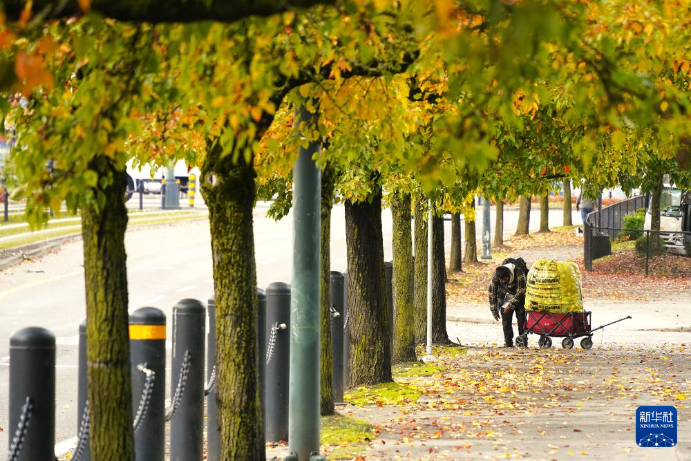 波特兰街头的无家可归者