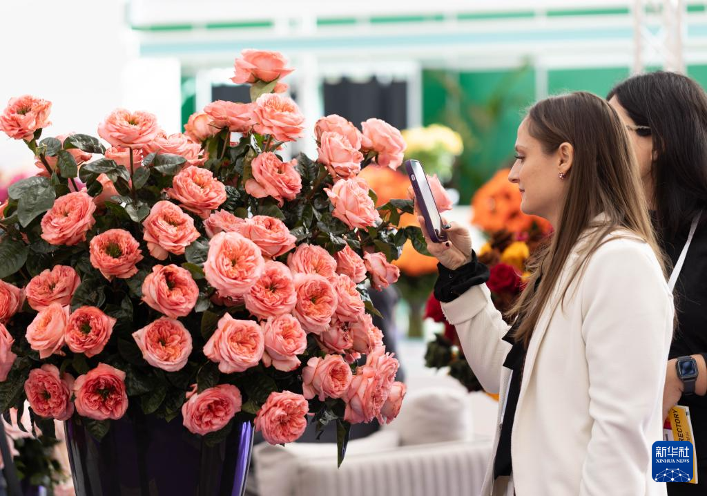 荷兰举办2025国际花卉贸易展览会