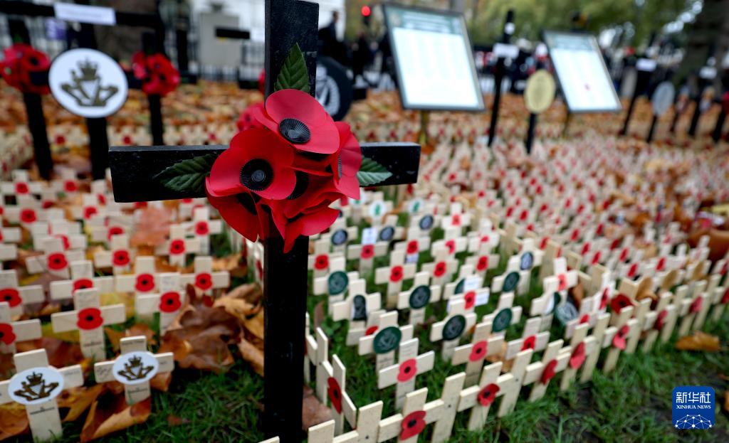 英国：纪念停战