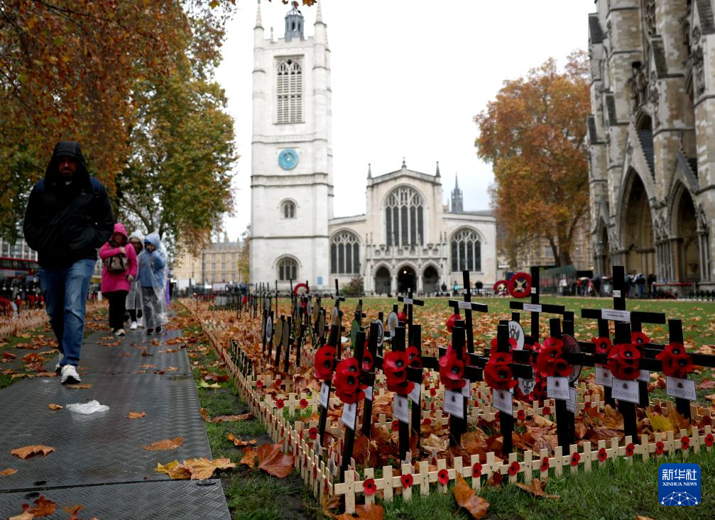 英国：纪念停战